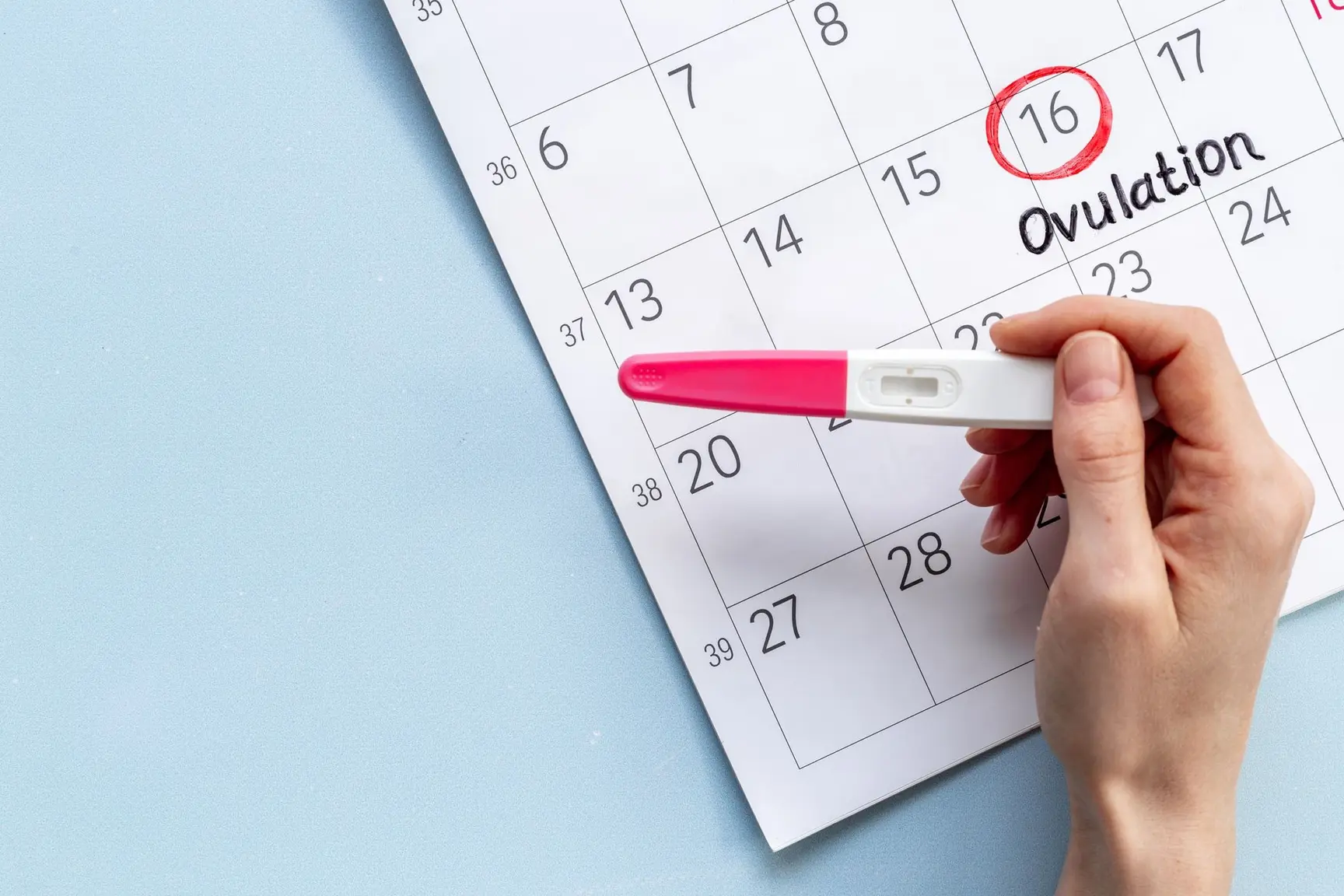 Kalender