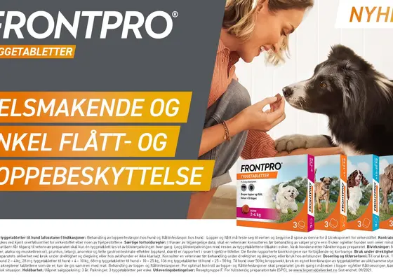 Reseptfrie tyggetabletter mot flått og lopper til hunden din Reseptfrie tyggetabletter mot flått og lopper til hunden din