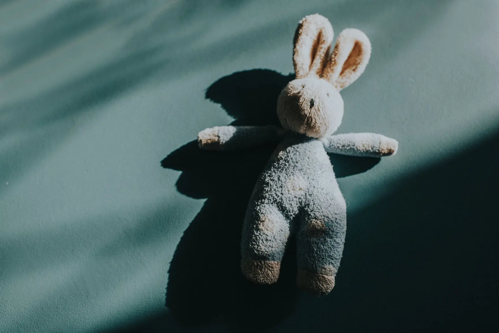 Kaninbamse med skygge