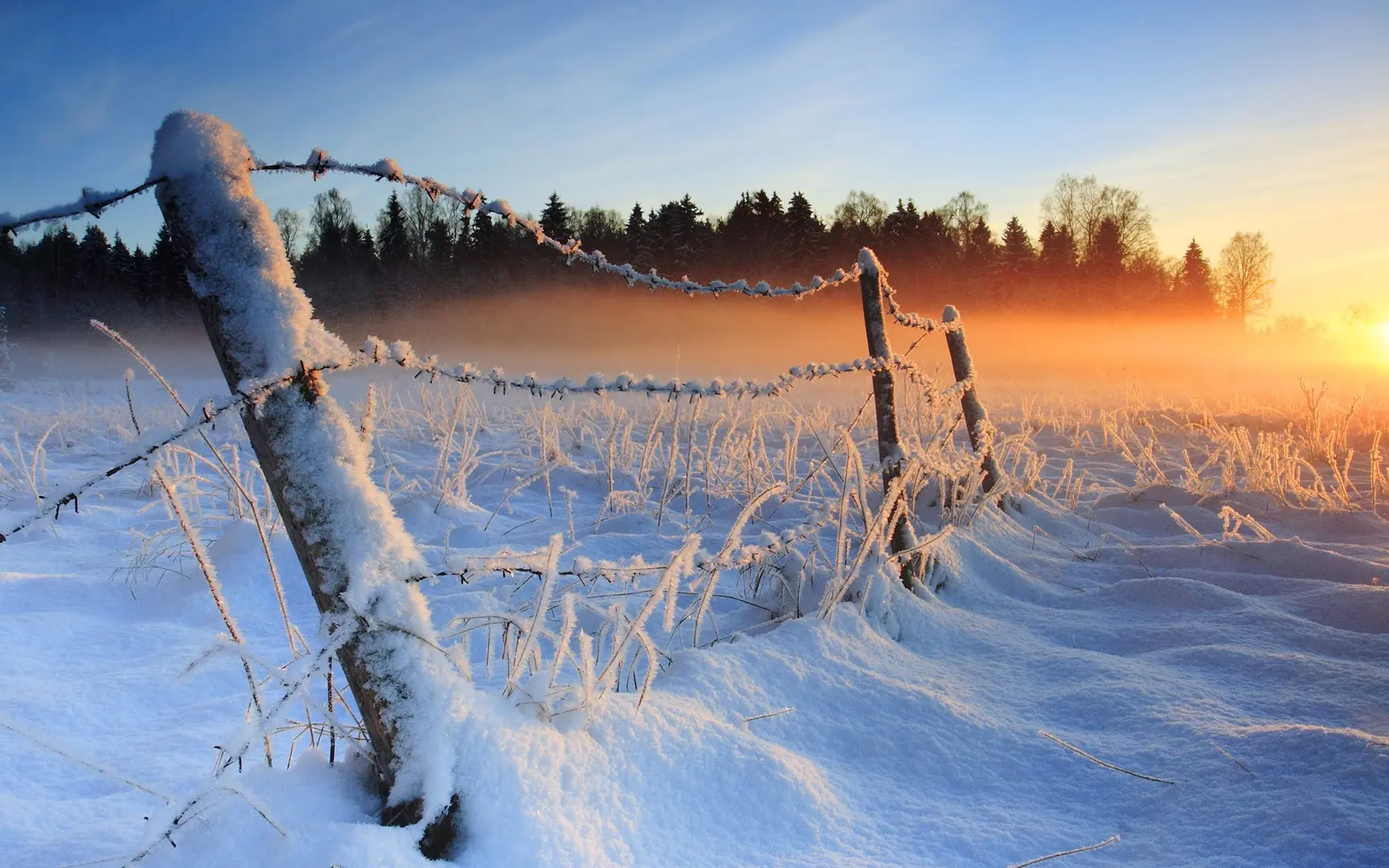 Vinter natur