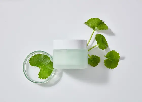 Cica (Centella Asiatica) i hudpleie Cica (Centella Asiatica) i hudpleie