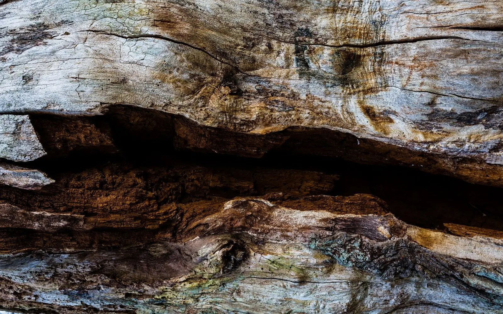 Naturbilde