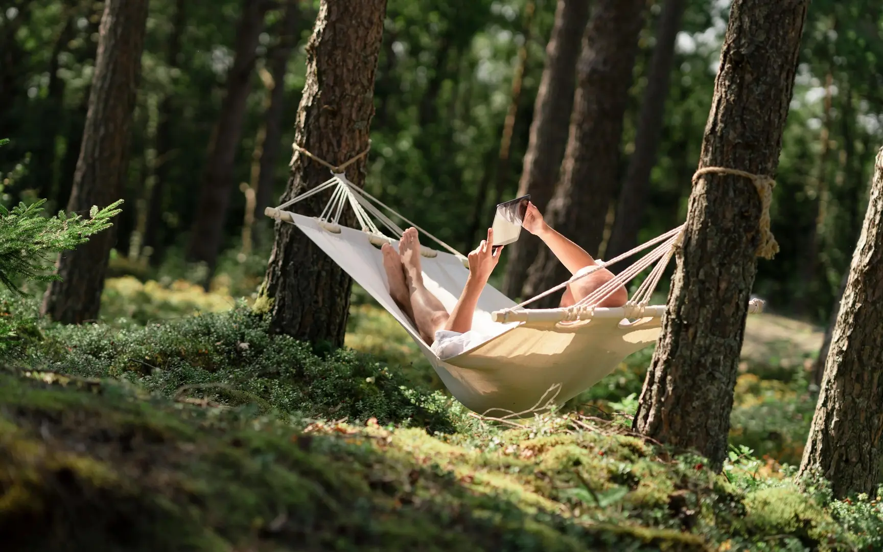 En mann ligger i en hengekøye i skogen og leser en bok