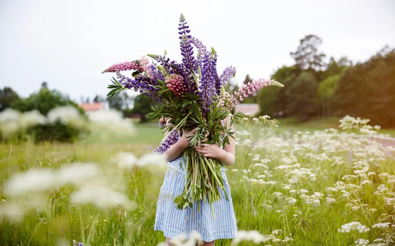 En jente i blå stripete kjole står i en eng med en stor bukett blomster
