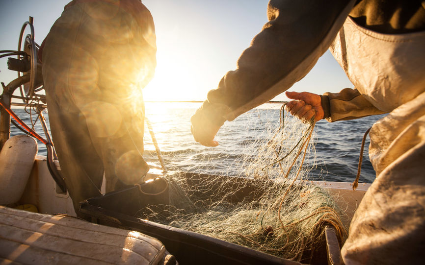 Bilde av en to fiskere på en båt som drar opp fiskegarn.