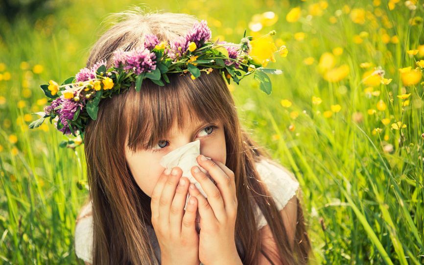 pollen allergi symptomer