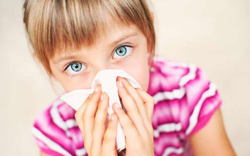 Melkesyrebakterier melkeallergi Melkesyrebakterier melkeallergi