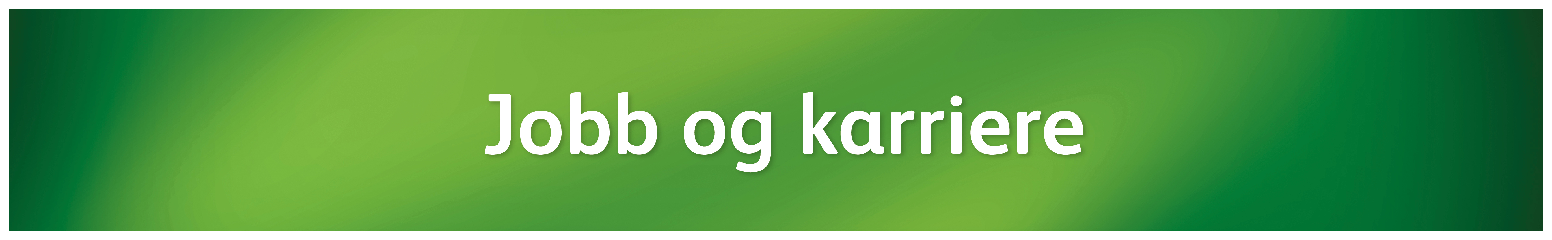 karriere.foto