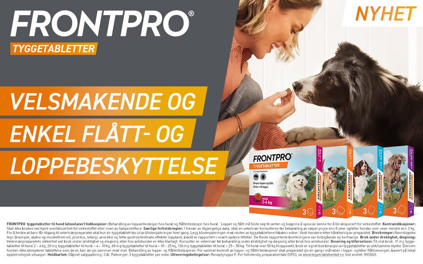 En kvinne gir en border collie en tyggetablett. Hunden snuser nysgjerrig. I forkan presenteres pakningene med ulike styrker Frontpro.