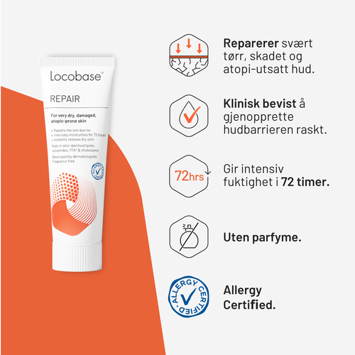 Locobase Repair 100 g